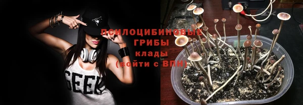 ГАЛЛЮЦИНОГЕННЫЕ ГРИБЫ Алексин