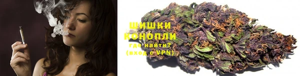 ГАЛЛЮЦИНОГЕННЫЕ ГРИБЫ Алексин