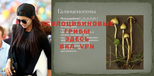ГАЛЛЮЦИНОГЕННЫЕ ГРИБЫ Алексин