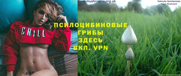 экстази Алзамай